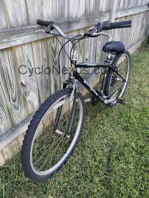 Diamondback Wildwood scheda tecnica e recensioni